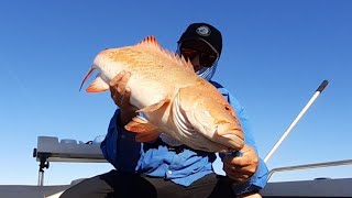 Ocean Addict Ep11  Coral Trout 2 horses in the same week  160km apart most prized fish [upl. by Nitsir]