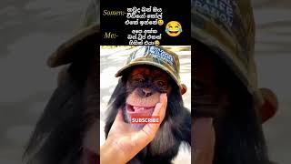 අක්ක ට්‍රිප් එකක් ගිහින්😂 SPDMedia shortvideo love video shorts trending viral viralvideo [upl. by Coy838]