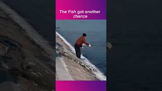 Fishing fails 16 [upl. by Tabbi]