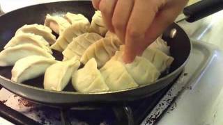 How to make Gyoza [upl. by Nnylyam]