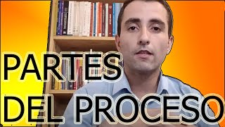 Partes del proceso  Capacidad  Legitimación  Derecho Procesal NIVEL BÁSICO [upl. by Gerlac]