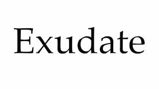 How to Pronounce Exudate [upl. by Arikihs]