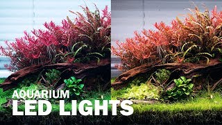 DIFFERENT LED LIGHTS ON OUR AQUASCAPE  AQUARIUM LIGHTING FOR YOUR AQUARIUM PLANTS [upl. by Wood]