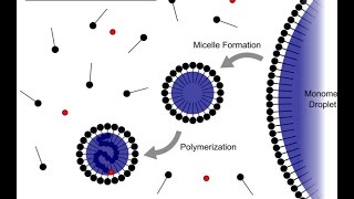 Emulsion Polymerization [upl. by Dumond33]