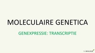 Moleculaire genetica  Genexpressie transcriptie [upl. by Alcinia]