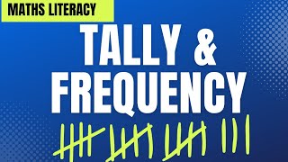 Tally and Frequency  Maths Literacy [upl. by Eivol377]