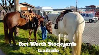 Trail ride from the Fort Worth Stockyards down the Trinity River levee [upl. by Asteria]