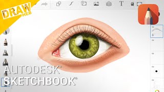 Sketchbook realistisches Auge zeichnen step by step  Sketchbook in der Praxis [upl. by Chrystel]