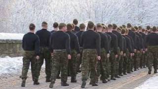 Coldstream Guards march for London Jan10 [upl. by Eillit]