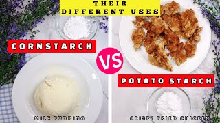 CORN Starch vs POTATO Starch Differences And Uses [upl. by Maitland]