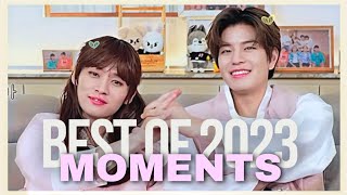 Lee Know And Seungmin Best and Lovely 2023 Moments  2Min FMV [upl. by Adyl]