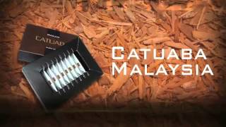 Catuaba Malaysia Pharmacy  Catuaba Brazilian  Catuaba Original  Catuba  Catauba [upl. by Sacram]