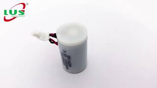 Lithium Thionyl Chloride Battery [upl. by Kipper]