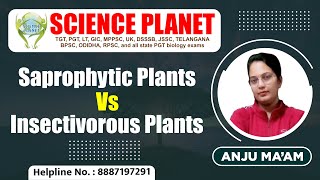 Saprophytic Plants Vs Insectivorous Plants by Anju Mam SaprophyticPlants InsectivorousPlants [upl. by Armmat]