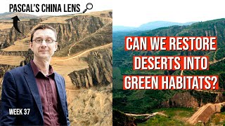 Can we turn deserts into green habitats  Pascals China Lens week 37 [upl. by Obala]