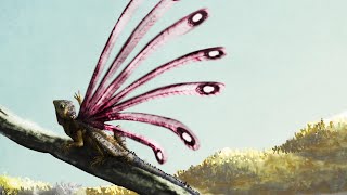 Why Did Animals After Mass Extinctions Look So Strange [upl. by Haonam861]