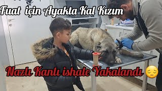 NAZLI DA DURUM KRİTİK FUAT COK ÜZÜLÜYOR 😔😔 [upl. by Tutt890]