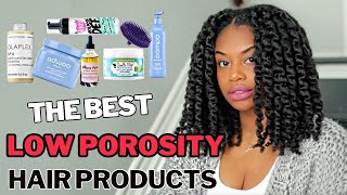 The Best Natural Hair Products for Low Porosity and High Porosity Hair [upl. by Enytsirk871]