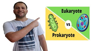 Prokaryotes and Eukaryotes comparison [upl. by Nashom]