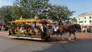 Disneyland horsedrawn omnibus [upl. by Aeslek244]