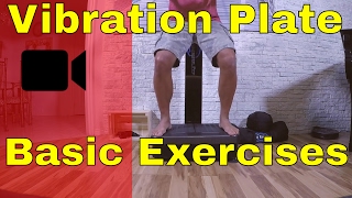 quotBASICquot Whole Body Vibration Machines LEG Workout  Vibration Plate Exercises [upl. by Eilraep810]