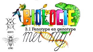 4HV  31 Fenotype en genotype [upl. by Maxia364]