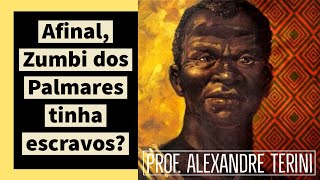 Zumbi dos Palmares tinha ESCRAVOS Prof Alexandre Terini [upl. by Chally513]