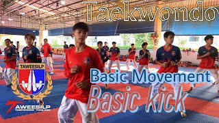 TaekwondoBasic MovementBasic Kick [upl. by Karr]