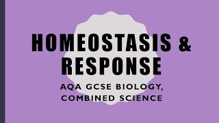 Homeostasis Revision  GCSE BiologyCombined Science [upl. by Analaf]