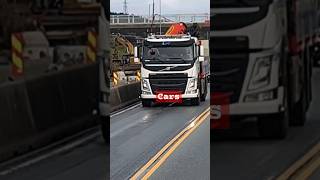 Trailer Truck and Cars automobile travel truck asmr car rositaegner1628 [upl. by Lahcear441]