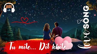 Tu Mile Dil Khile  New Hindi Songs [upl. by Minda]