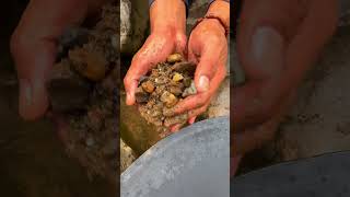 discovery of a hollow stone containing material containing gold golddiscovery goldprospecting [upl. by Ybor]