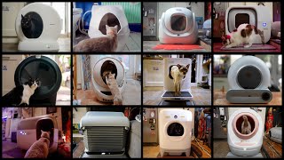 All the GOOD and BAD about SELFCLEANING Litter Boxes [upl. by Druce]