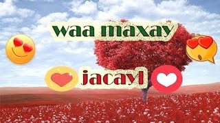 Waa maxay jacayl [upl. by Siuol]