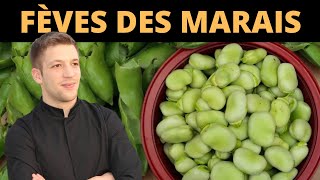 Comment nettoyer et cuire des fèves des marais [upl. by Marni]