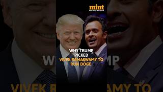 This Is Why donaldtrump Picked vivekramaswamy To Run DOGE With elonmusk [upl. by Bratton]