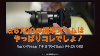 【α6000系標準ズームの決定版！】10年前のとは思えない。VarioTessar T E 1670mm F4 ZA OSS。 [upl. by Claudelle794]