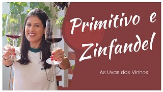 PRIMITIVO e ZINFANDEL As uvas irmãs da Itália e Califórnia [upl. by Alrats457]