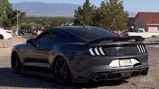 Loudest Ghost Cammed S550 Mustang [upl. by Junieta]