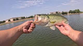 Pond Hopping with ONLY Soft Plastic Lures [upl. by Puiia]