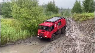 Pinzgauer und Haflinger im Gelände [upl. by Phemia]