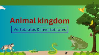 Classification of Vertebrates amp Invertebrates  Animal kingdom  Grade 7 [upl. by Strawn]