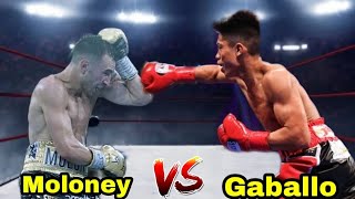 Jason Moloney Vs Reymart Gaballo  WBO Bantamweight World Title [upl. by Nohsav]