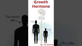 Growth Hormone Functions Benefits amp How It Affects Your Body  Essential Biology Explained [upl. by Gnilyarg410]