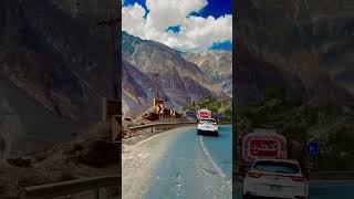 Karakoram Highway 🛣️ youtube gilgit shortvideos karakoramhighway karakoram nature roadtrip [upl. by Nipha]