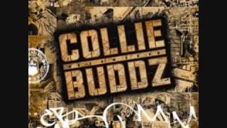 Collie Buddz  Wild Out [upl. by Siclari311]