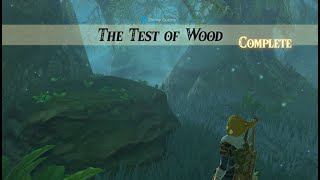 The Test of Wood  Shrine Quest  Zelda BOTW [upl. by Ledeen]