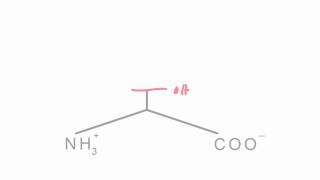 Memorize the 20 amino acids in 20 minutes Part 1 [upl. by Roselin846]