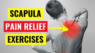 Scapula amp Rhomboid Pain Relief Exercises in 5 min [upl. by Havstad]