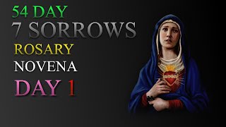 54 Day 7 Sorrows Rosary Novena w A Catholic Guy  Day 154 [upl. by Ludwog867]